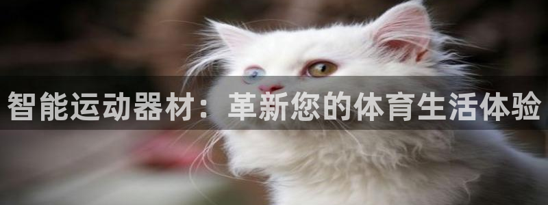 意昂5(KGAME)五金厂：智能运动器材：革新您的体