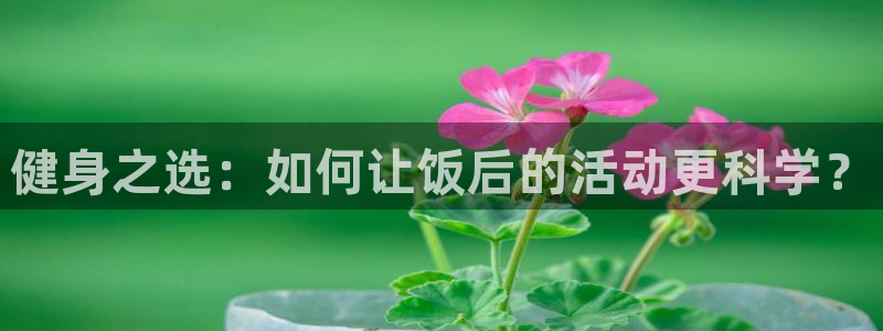 意昂体育5(KGAME)平台注册要钱吗：健身之选：如