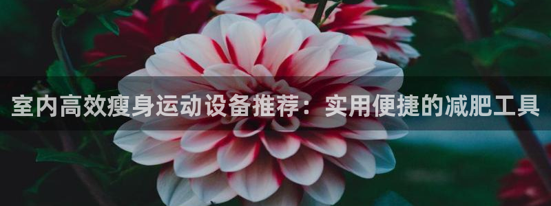 意昂体育5(KGAME)娱乐：室内高效瘦身运动设备推