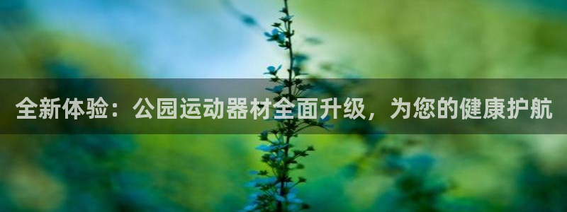 意昂5(KGAME)集团：全新体验：公园运动器材全面