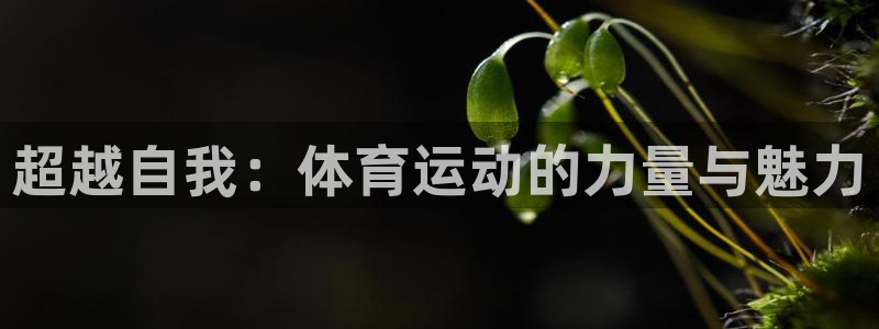 球客岛：超越自我：体育运动的力量与魅力