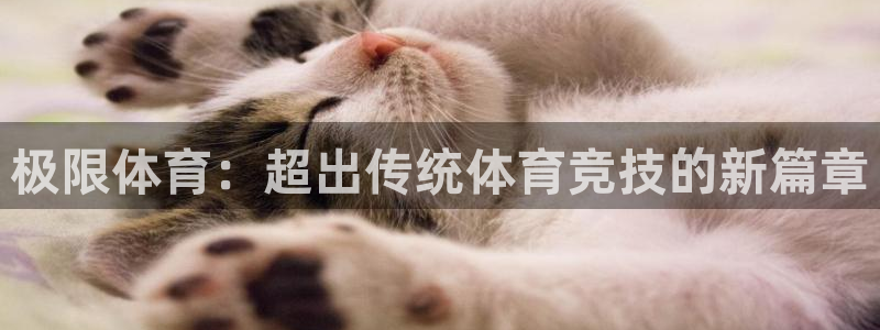 球客岛：极限体育：超出传统体育竞技的新篇章