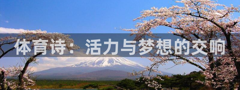 球客岛：体育诗：活力与梦想的交响