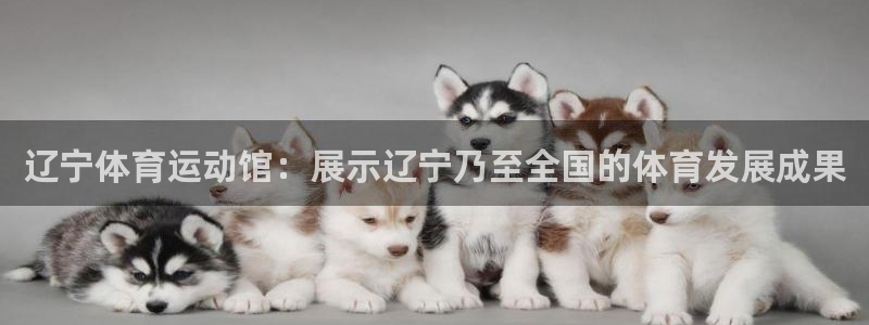 球客岛：辽宁体育运动馆：展示辽宁乃至全国的体育发展成果